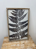 FINAL SALE - 23.6 2 ASST. FERN WALL DECOR
