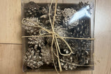 PINE CONES IN BOX
