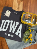 Iowa Est. 1846 - Grey Comfort Color Longsleeve Tee