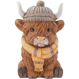 Chilly Highlander Cow (801)