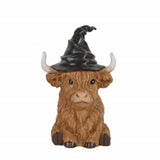 Witch Highlander Cow