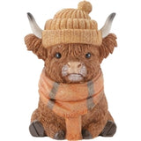 Chilly Highlander Cow (806)