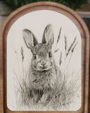 Arch Bunny Sketch Framed Art