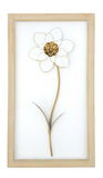 Daisy Frame