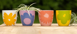 Dol Floral Pots 4styl/3ea/12pdq
