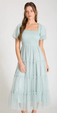 Polka Dot Tulle Puff Sleeve Dress