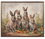 Five Bunnies In Carrot Field