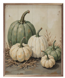 Green And White Pumpkin In Straw