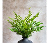 *inner* 19 Fern Bush Stem