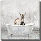 Baby Zebra Bath 18x18