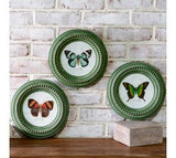 *inner* 3 Asst Gr Frame Butterfly Prints