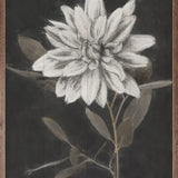 Fable Lotus I
