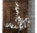 *inner* White Dancing Lady Orchid Stem