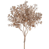 17gl.mini Boxwood Leaf Spray