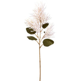27.5smokebush Spray Cr/dk
