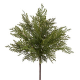 18soft Pe Cedar Bush Gr/tt