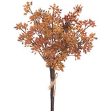 12sedum Bundle X3 Br