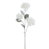 33 Snowed Hydrangea Spray Wh