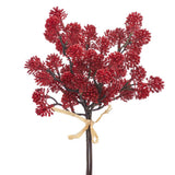 11 Soft Pe Sedum Bundle X3 Re