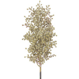 16sedum Spray Gr