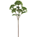 16.5sedum Spray Gr