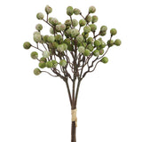 14berry Bundle X3 Gr