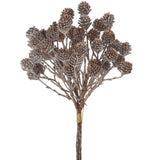 12glittered Pine Cone Bundle