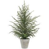 15cypress Tree In Cement Pot