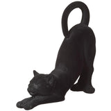 10.5cat Bk