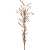 35willow Spray Be