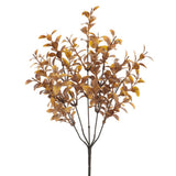 13tea Leaf Bush Br/tn