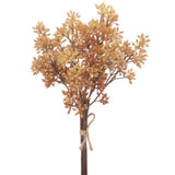 12sedum Bundle X3 Be