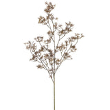 41blossom Spray Be