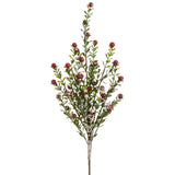 21iced Berry Spray Re