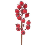 13rosehip Spray Re