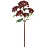 16.5sedum Spray Re