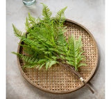 *inner* 21 3 Stem Fern Bundle