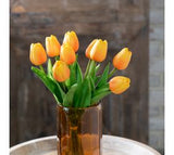 *inner* 9 Sunset Orange Tulip Bunch