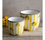 Yellow Stripe Lemon Planters