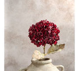 25 Burgundy Hydrangea Branch