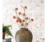 Large Orange Berry Spray