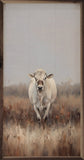 White Cow In Field