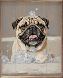 Pug In A Tub 8x10