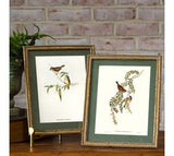 *inner* 2 Asst. Bird Print Gold Frame Wall Art