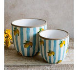 Lt Blue Stripe Lemon Planters