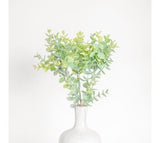 *inner* 15.75 3 Stem Eucalyptus Bunch