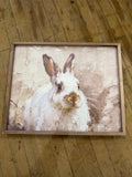 White Bunny Looking