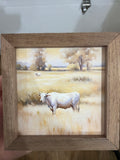 White Cow In Brown Field
