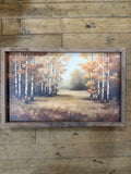 Autumn's Birch Forest