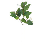 24.5\"EUCALYPTUS LEAF SPRAY